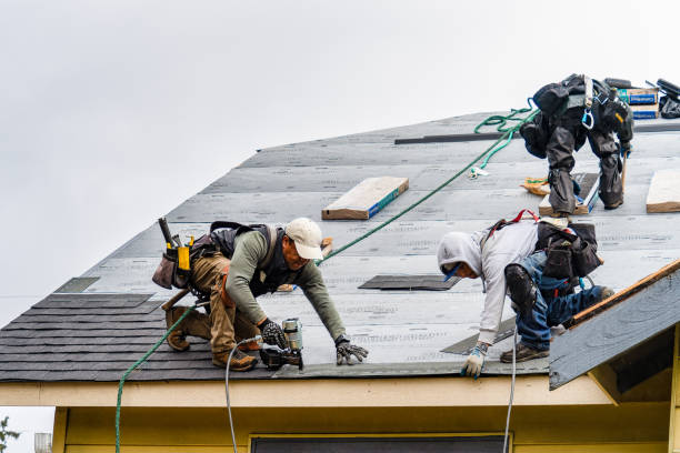 Professional Roof Inspection technician working in Robins, IA